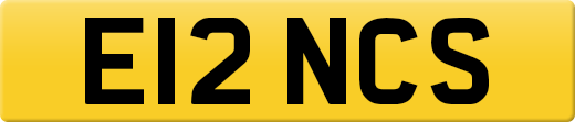 E12NCS